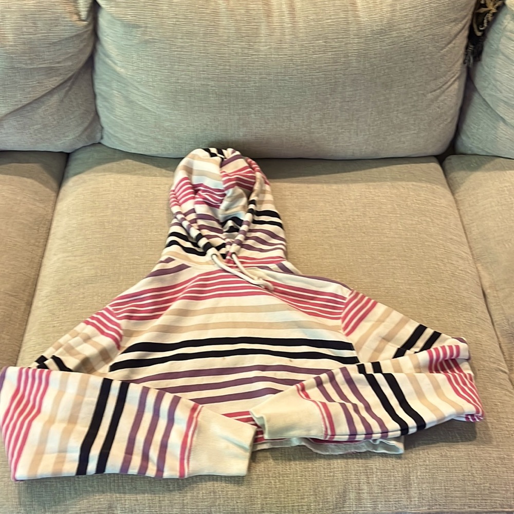 Multicolored champion crop top hoodie